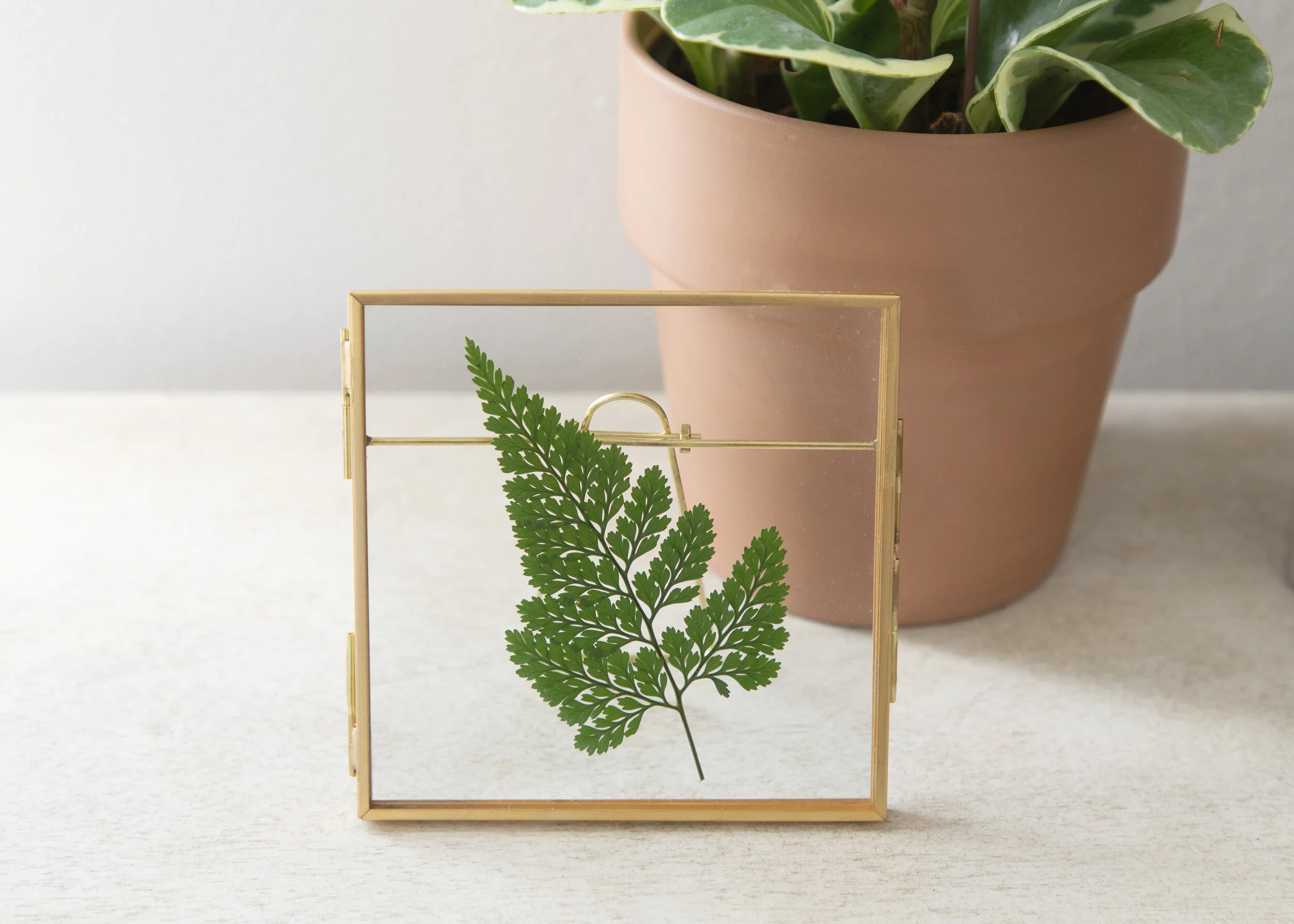 Wild Interiors — Add Natural Decor with DIY Pressed Leaf Art