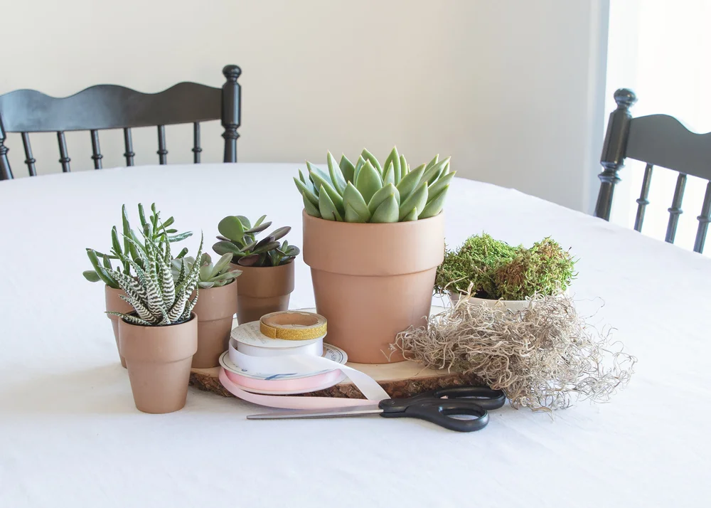 Wild Interiors How To Make A Diy Succulent Centerpiece