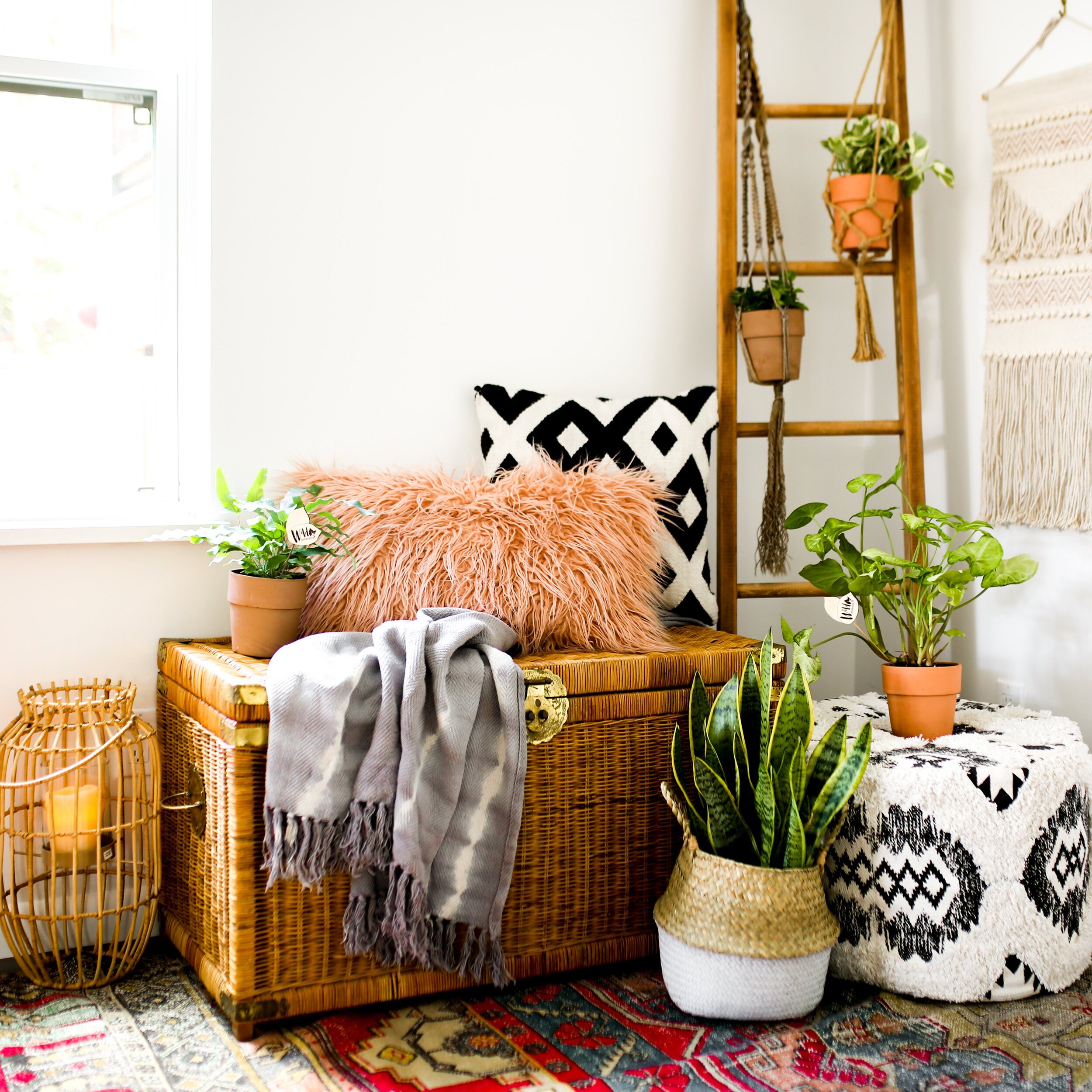 Wild Interiors — Decorating With Plants: A Boho Decor Guide