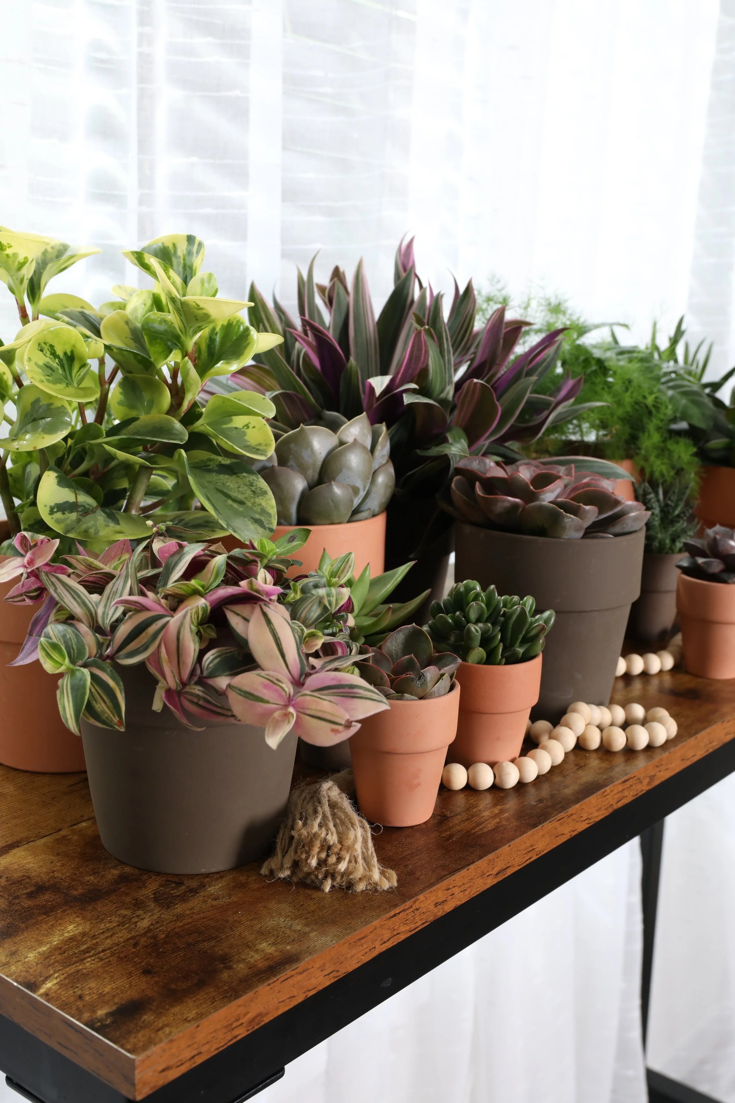 Lighting Tips and Tricks