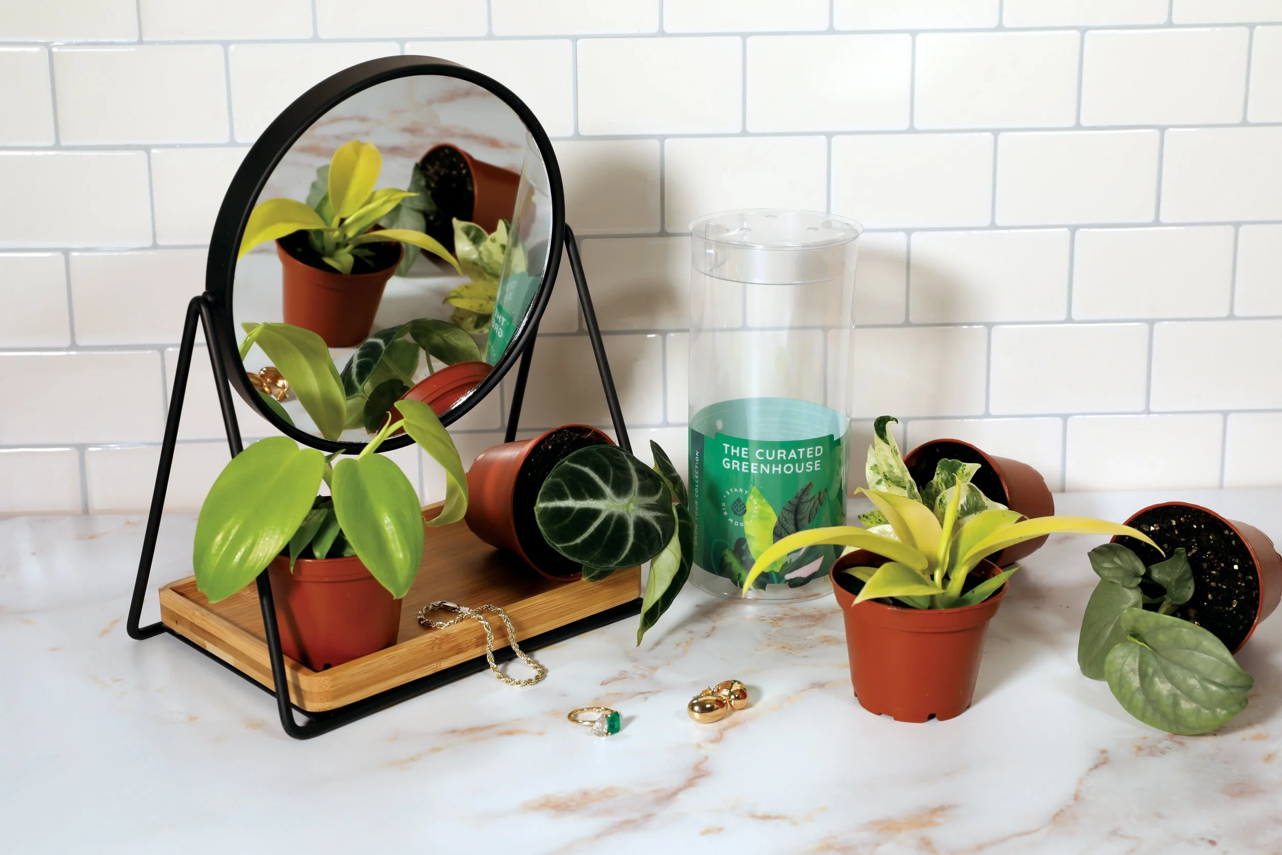 3IN_Target_Curated_Greenhouse_w_Packaging_Group_Lifestyle_3.JPG