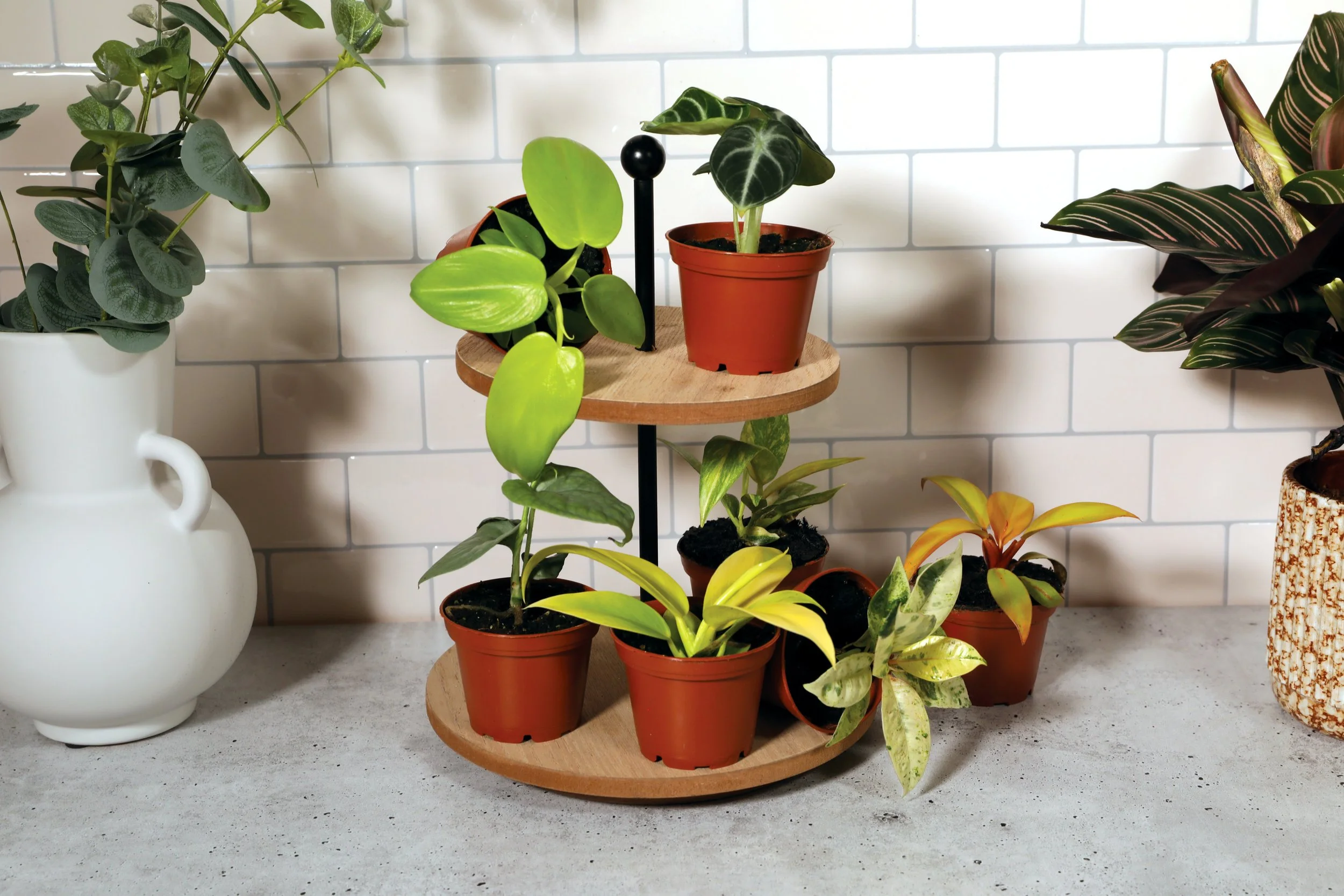 3IN_Target_Curated_Greenhouse_No_Packaging_Group_Lifestyle_3.JPG