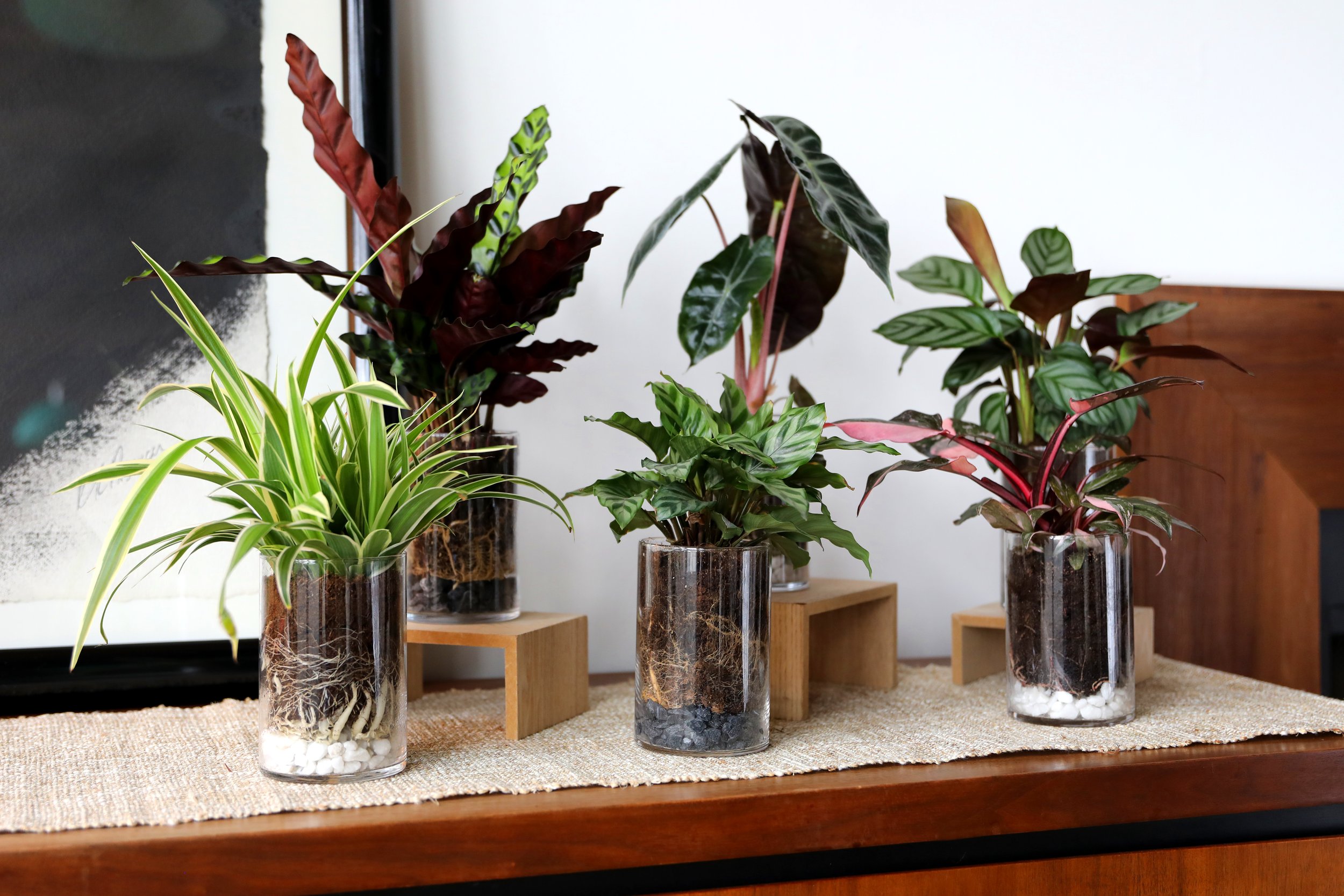 Living_Layers_Roots_Earth_Group_Living_Room_Horizontal_Lifestyle_2.JPG