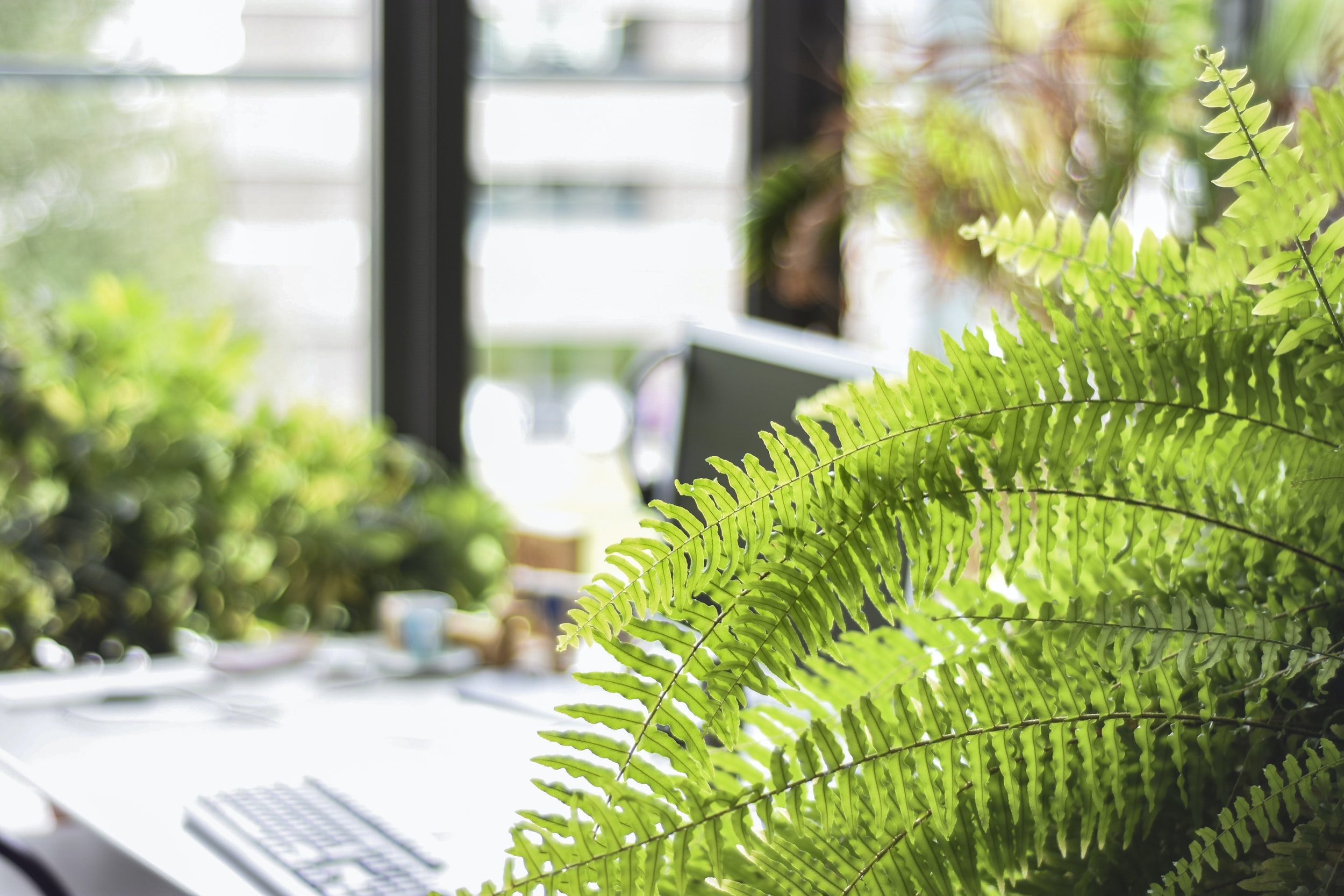 Sustainability Is The Future For Businesses, Are You Ready?