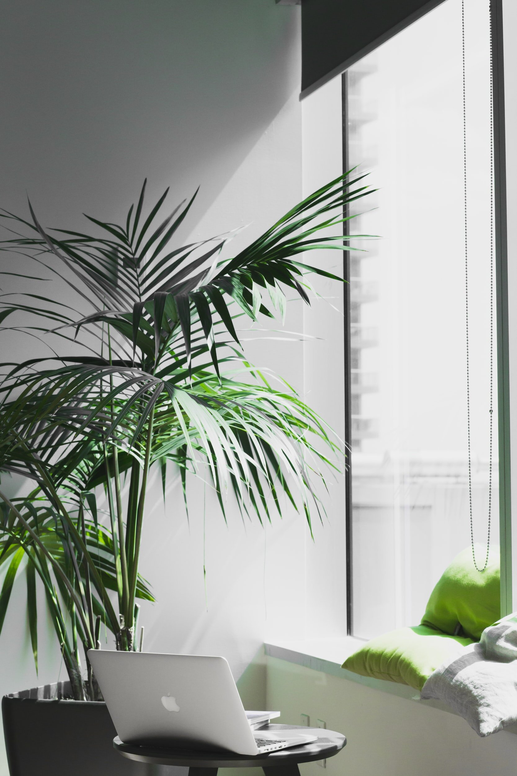 The Use of Green Cleaning Programs For A Safer Environment