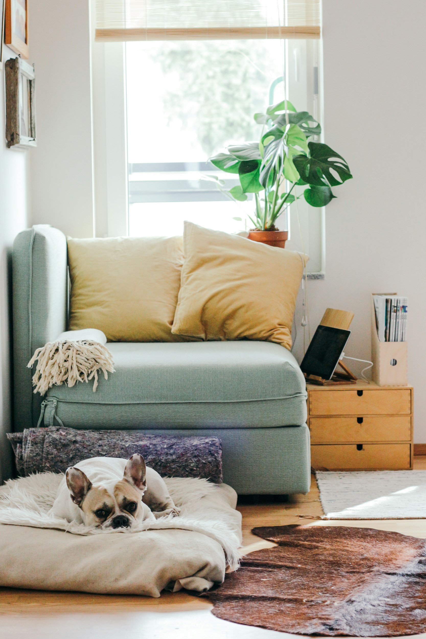 New Home? 6 Top Tips For Settling In