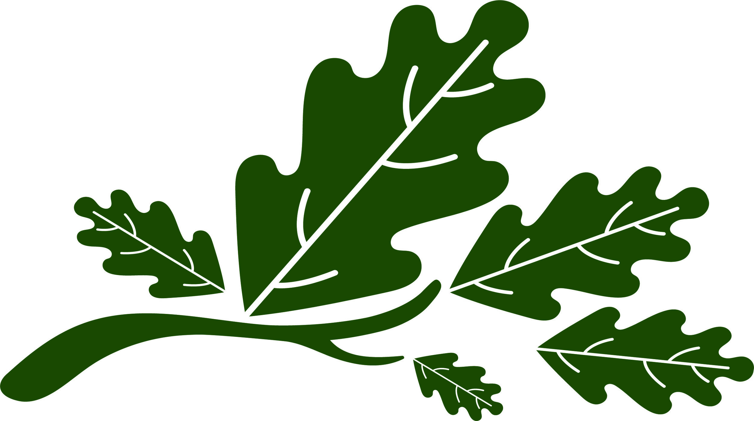FIVE OAKS Leaves.jpg