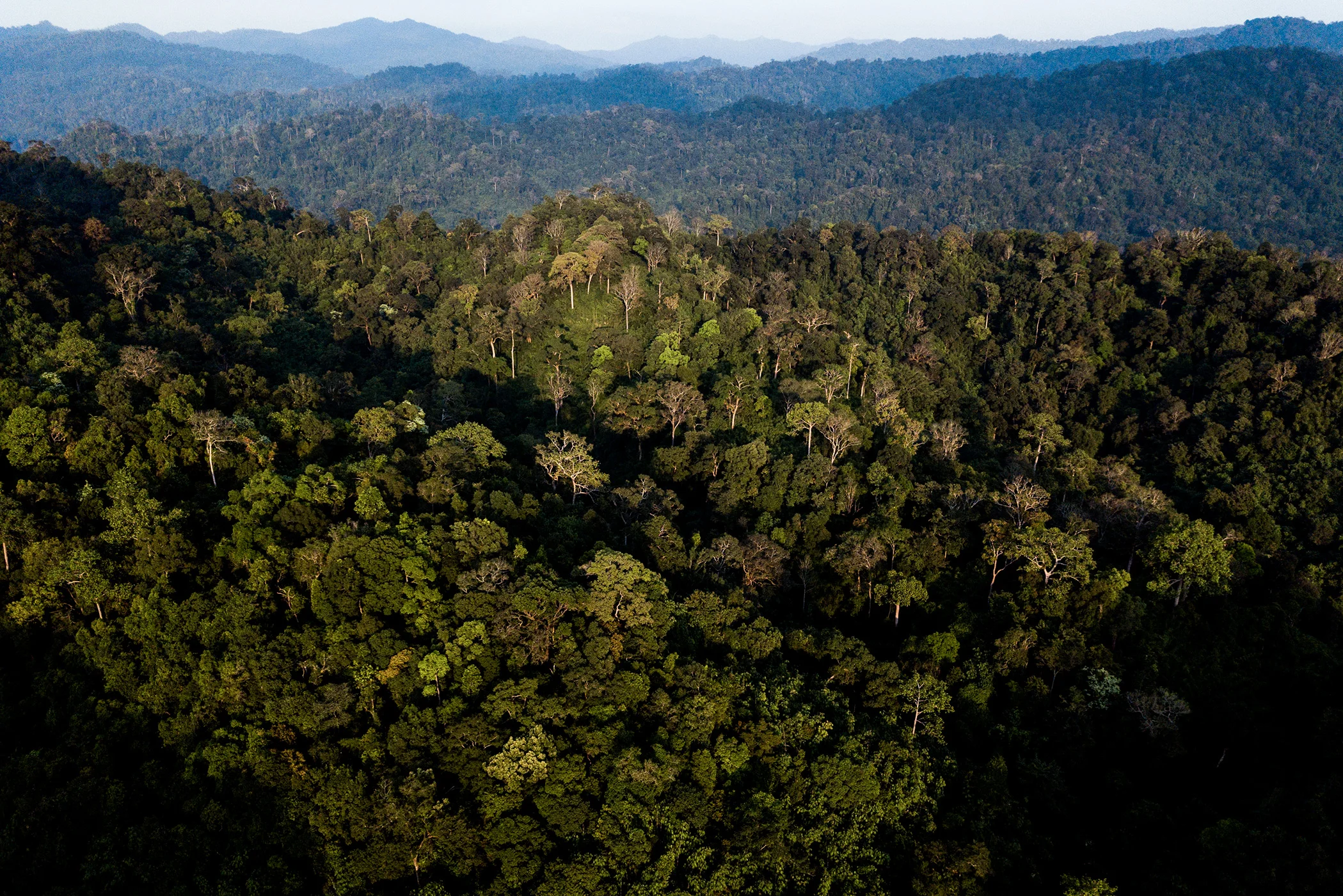 DJI_0119.jpg