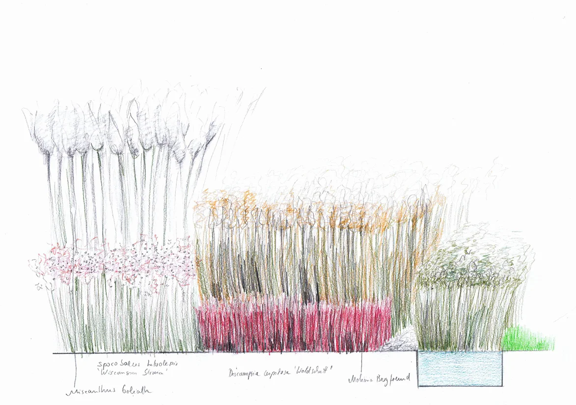 Planting Sketch elevation 2.jpg