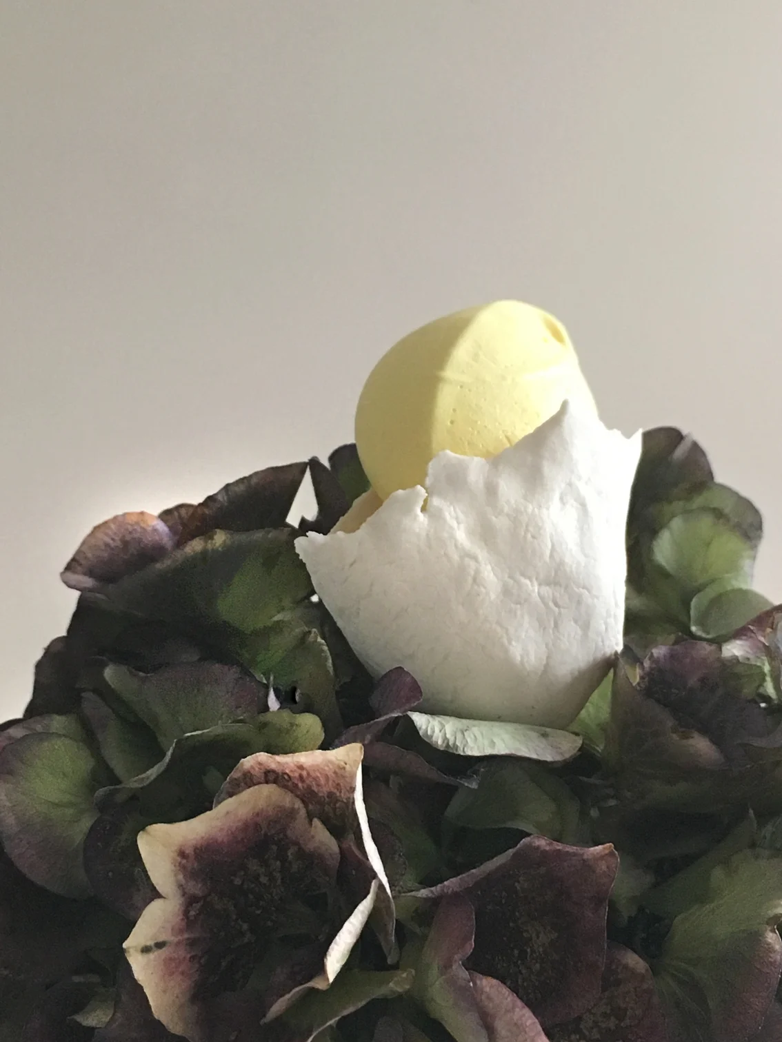 Porcelaine bud in Hortensia.jpg