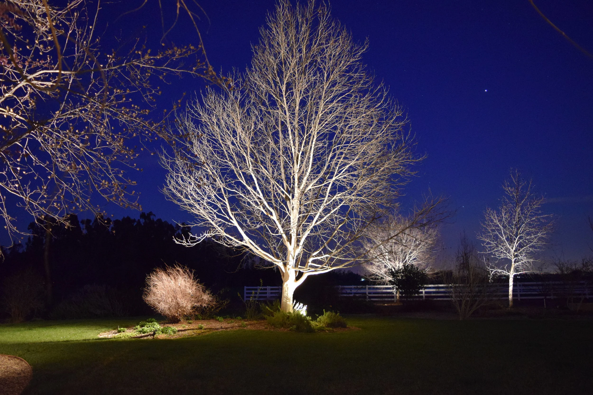 Landscape lighting beyond creates a sense of depth in the scene