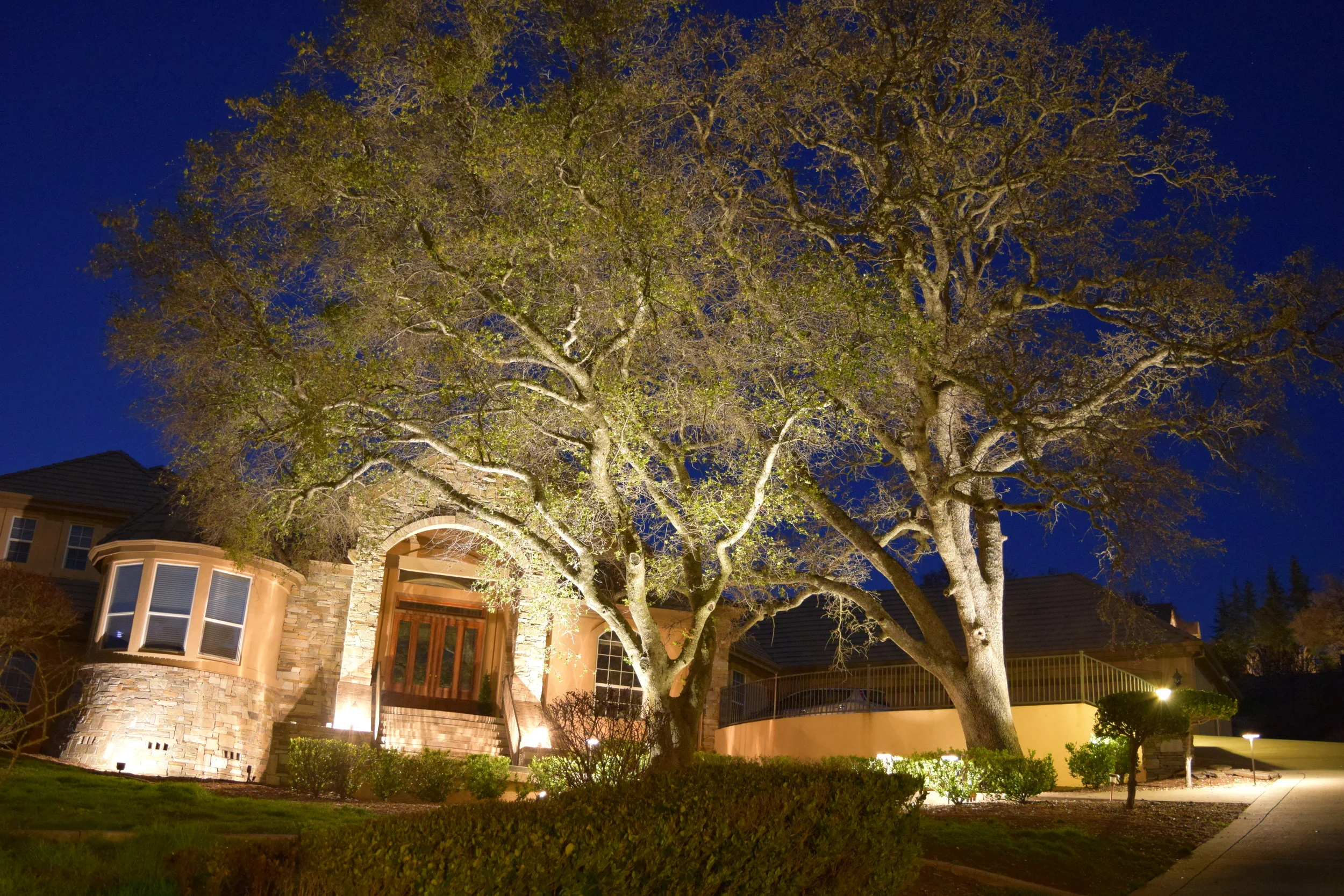 At the front door uplit trees flank the entry