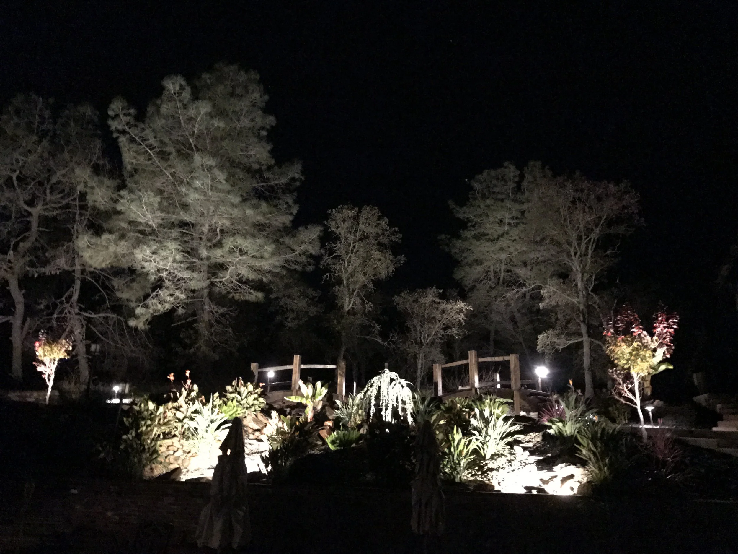 Oak trees illuminated in the background extend the visual  portrait