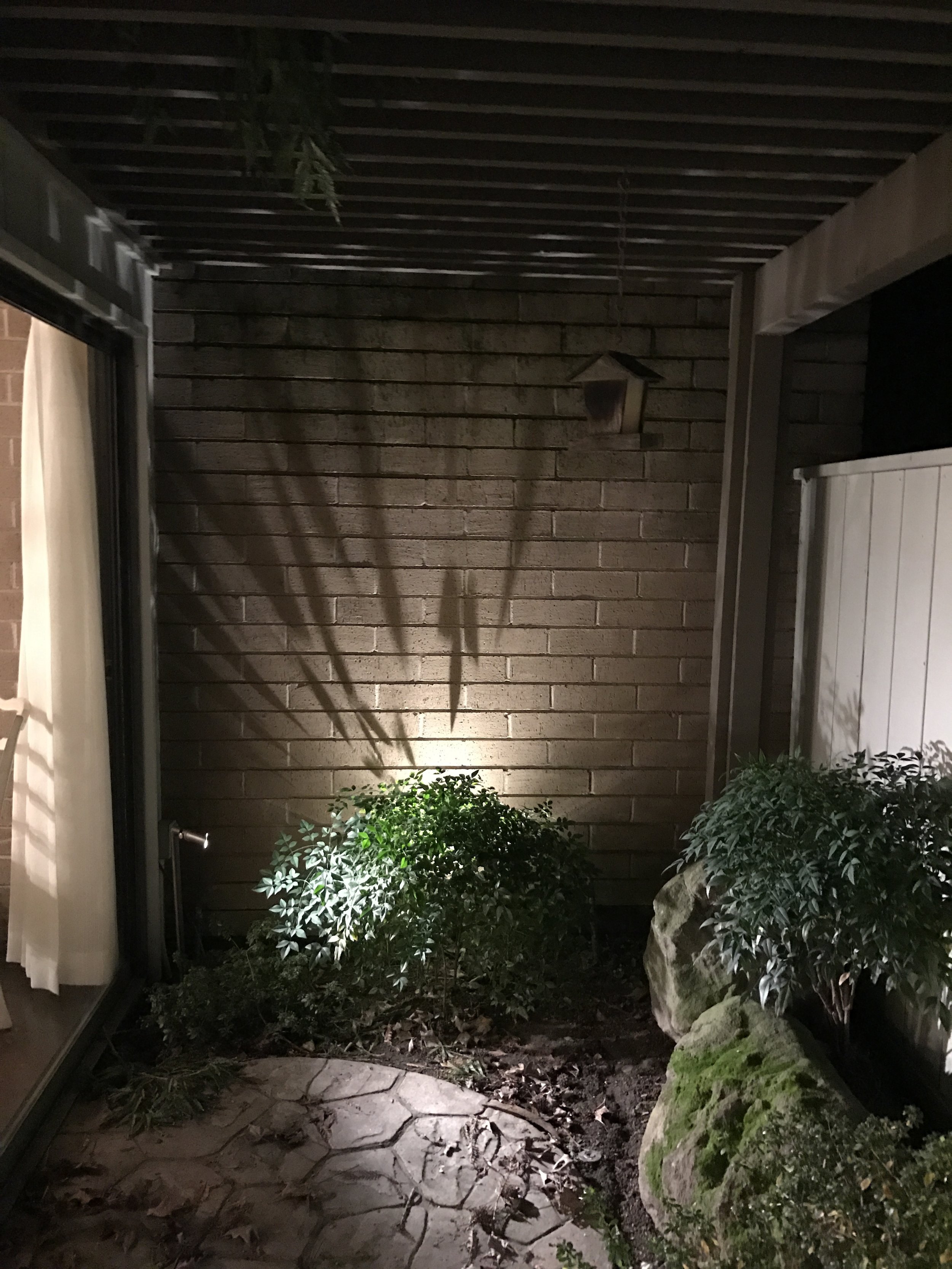 Back lighting reveals the silhouette