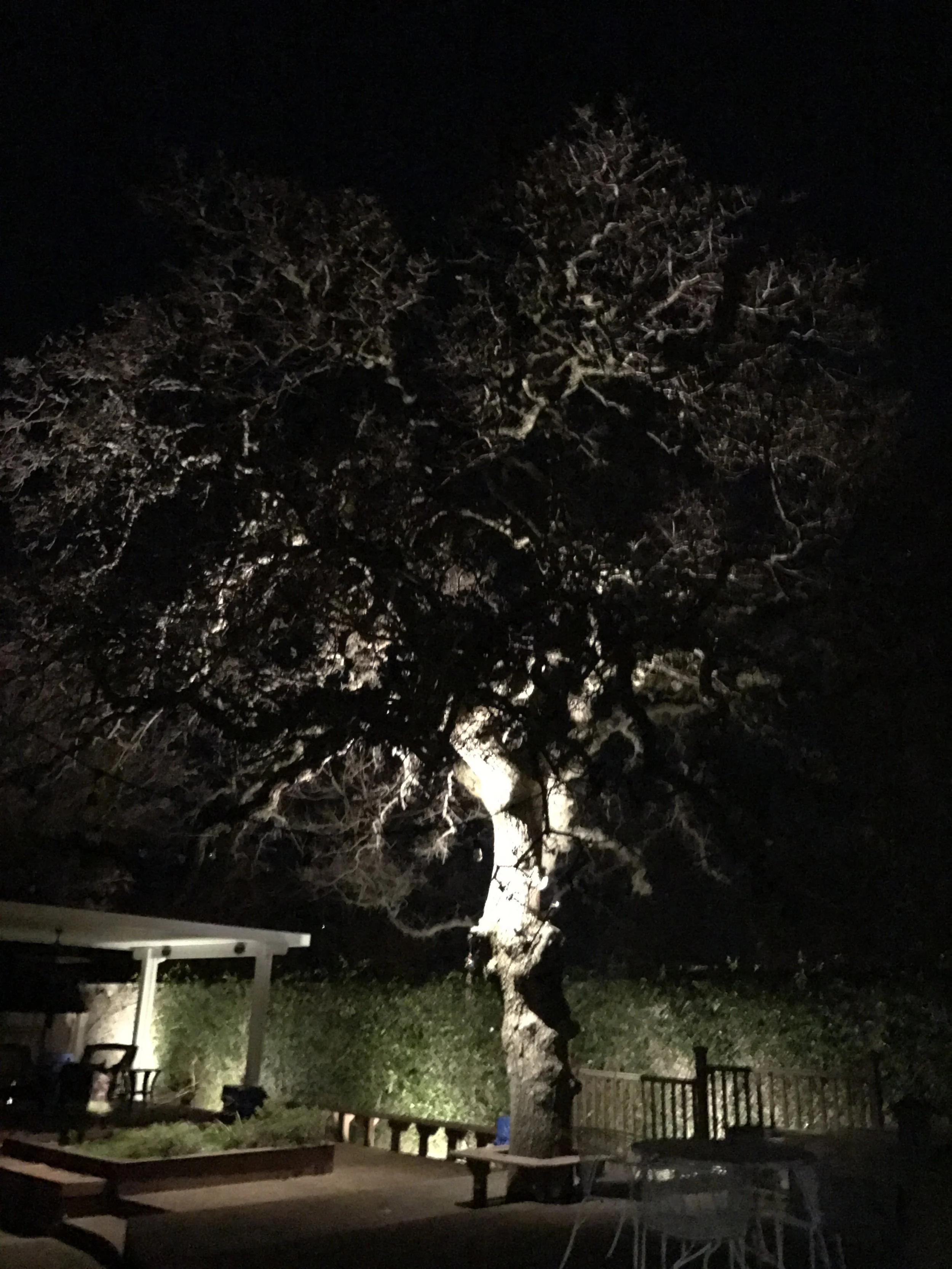 Soft downlighting provides safe access to the deck from the steps