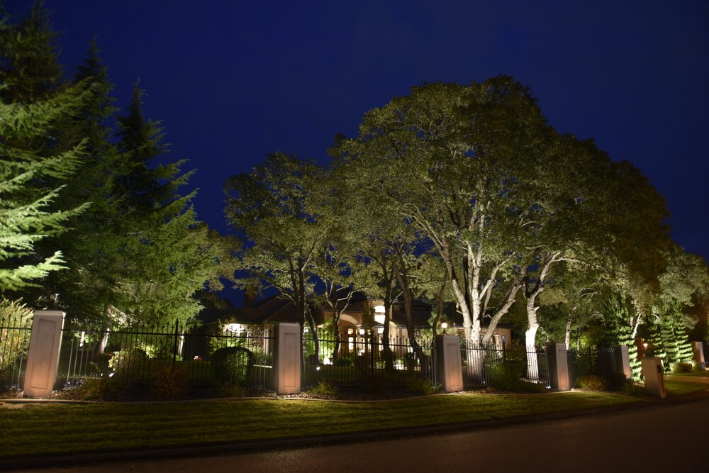 Elegant Outdoor Lighting, Professional Landscape Lighting Fixtures
