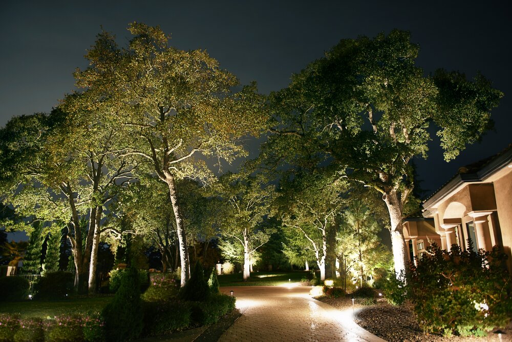 Landscape Lighting Pictures Elegant, How To Light Landscape Trees