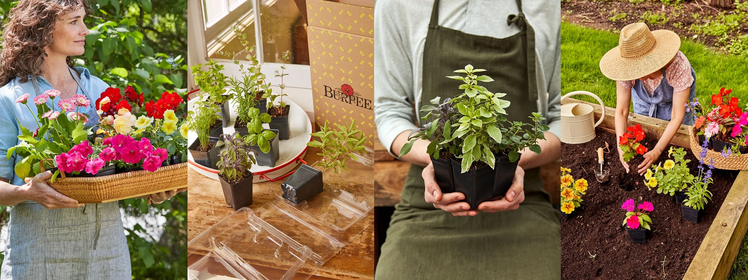Burpee GRPlants opener.jpg