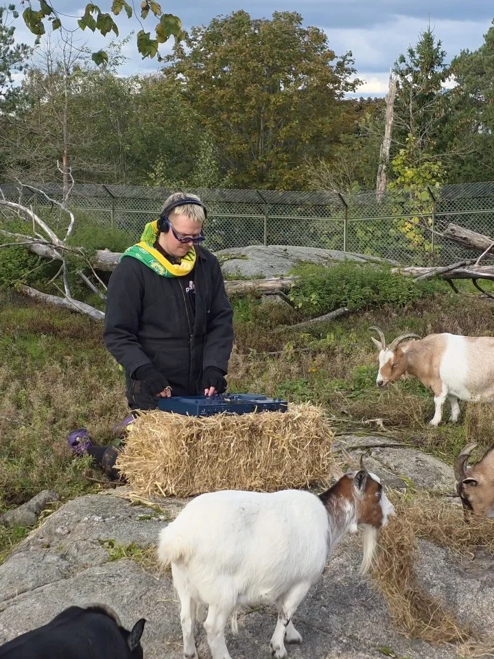 sometimes I don&rsquo;t understand what is wrong with me

what might be the urge, which at night whispers to me, in it&rsquo;s delicate voice, to perform in unorthodox places? where does it come from? what does it want? 

it appears it wanted me play