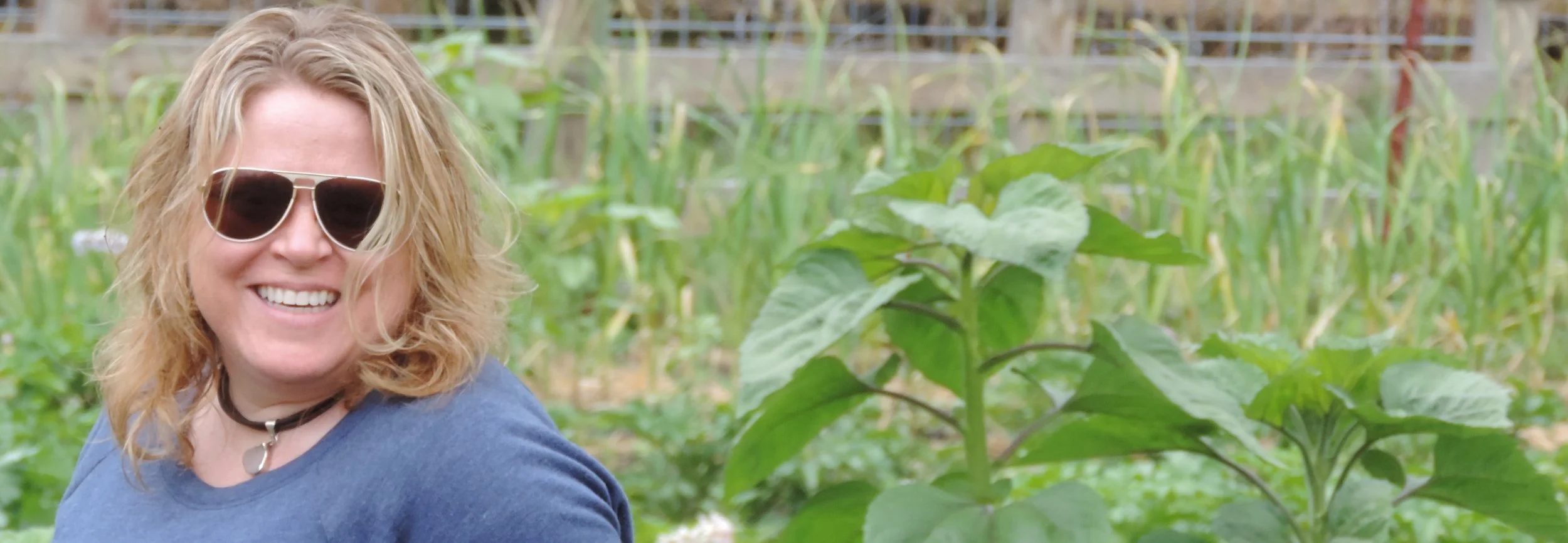 About Amys Whole Food Creations