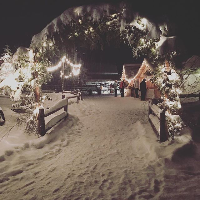Gateway to the first annual Roseberry Christmas Fair. A vision set into reality. Styled after Nighttime European Holiday Markets. #shoplocal @amyswholefoodcreations @sand_or_sugar @northforkcoffee #goodfriends #newfriends #idahome #bravetheelements #