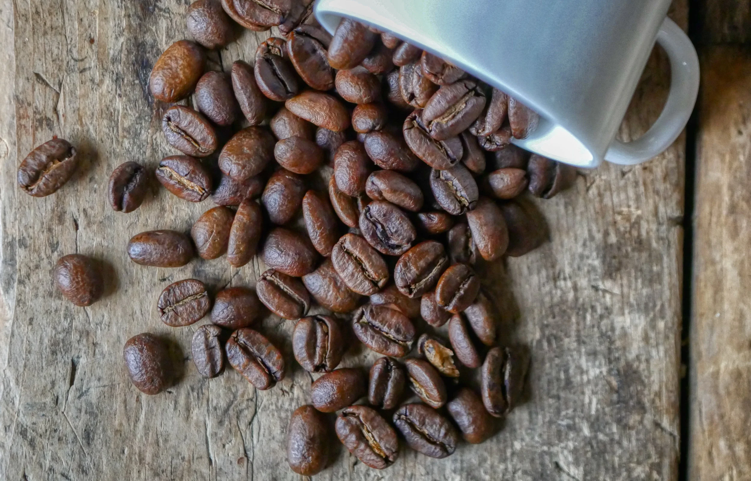 Coffee Bean Collection-5.jpg