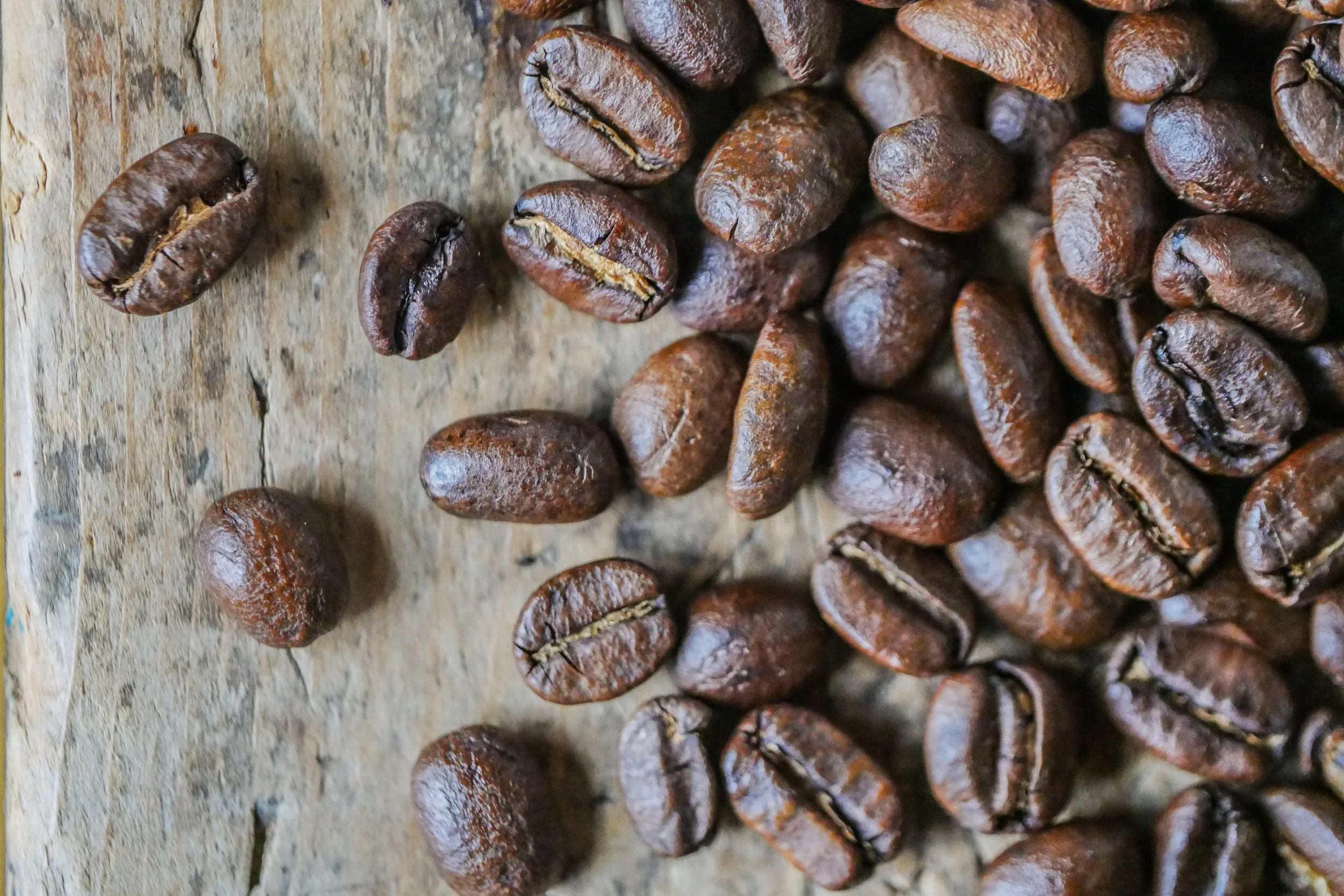 Coffee Bean Collection-6.jpg