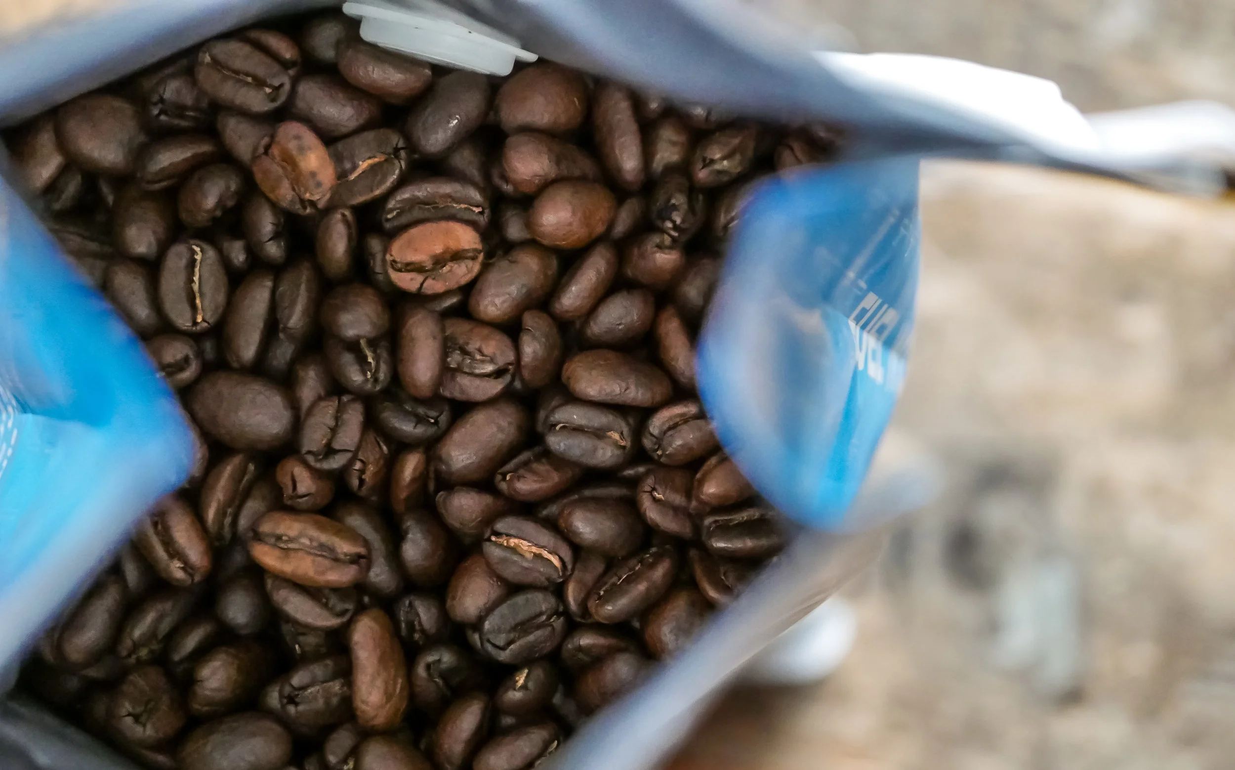 Coffee Bean Collection-12.jpg