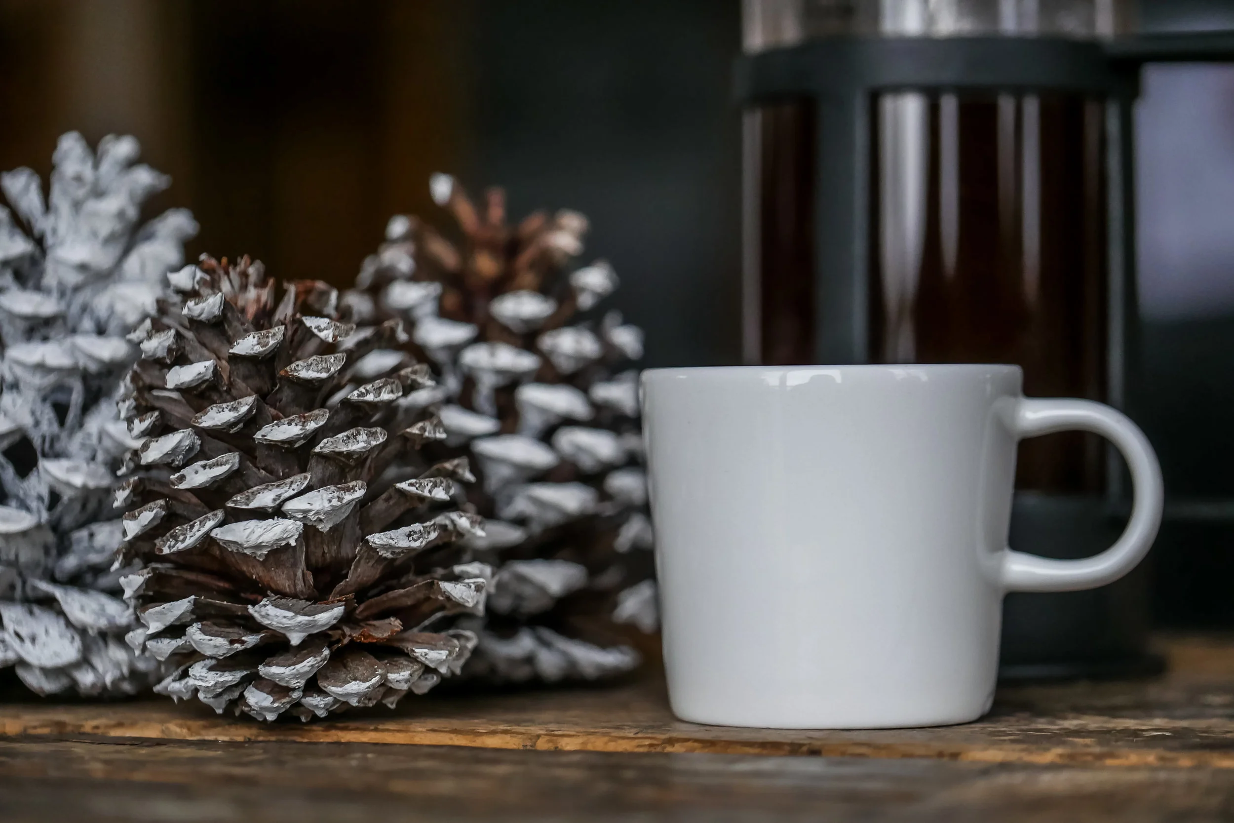 Coffee Bean Collection-13.jpg