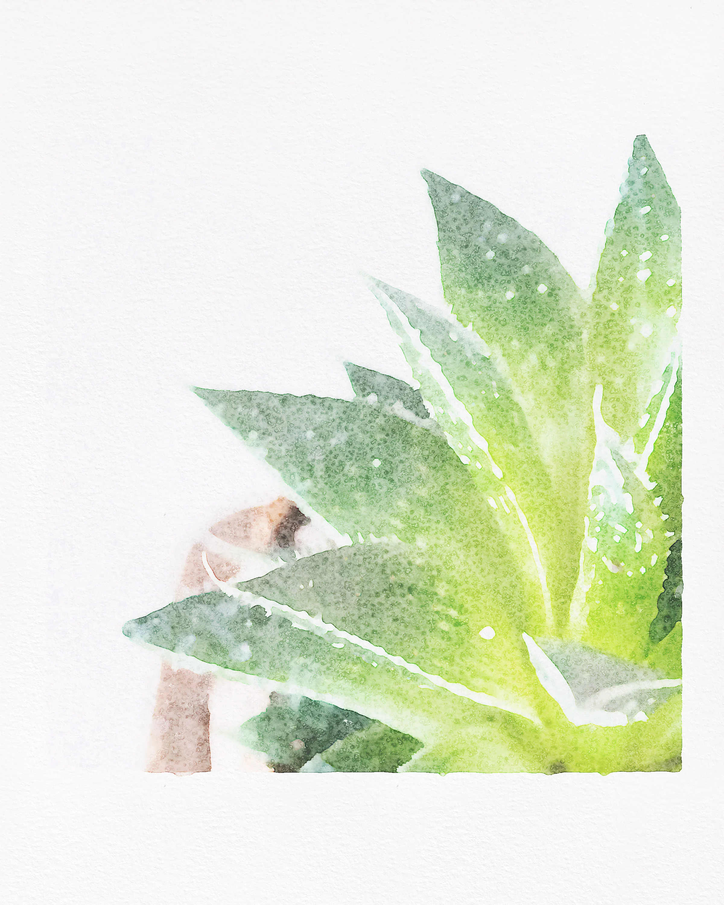 2 Succulent Watercolor Right.jpg