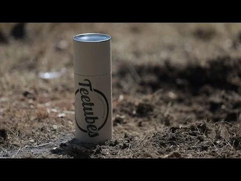 One Today Is Worth Two Tomorrows