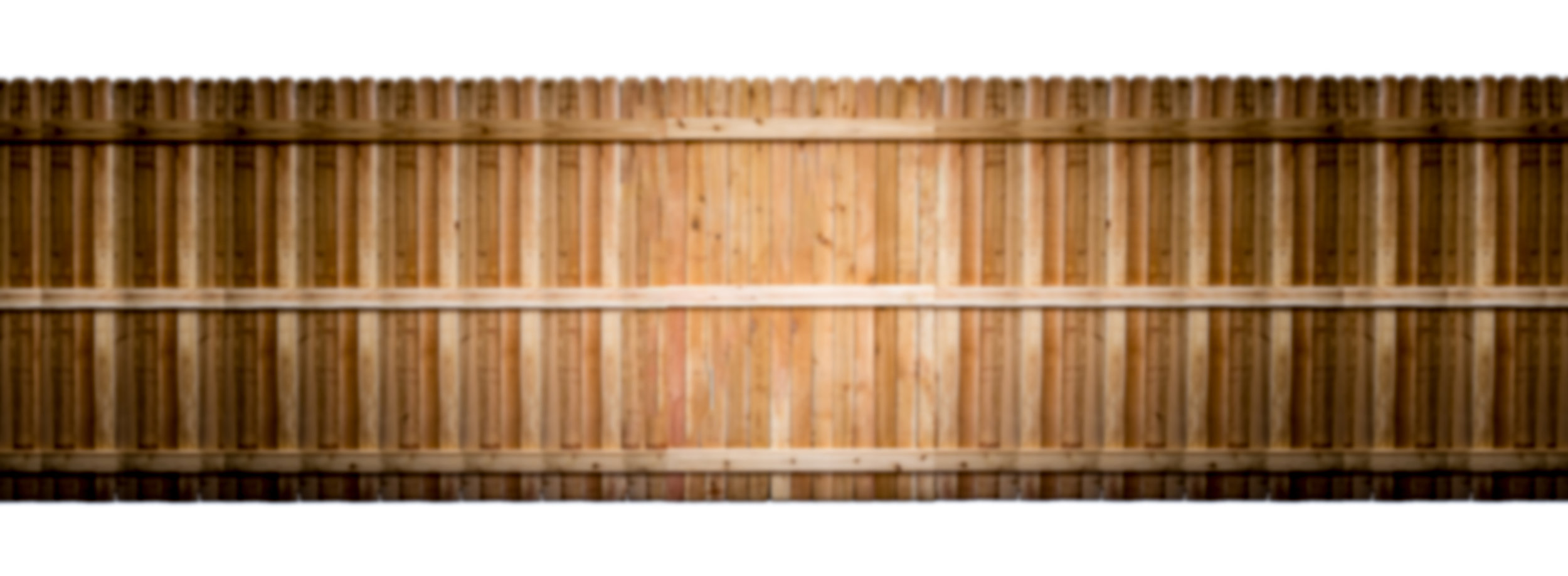 fence-blur-2-3.jpg
