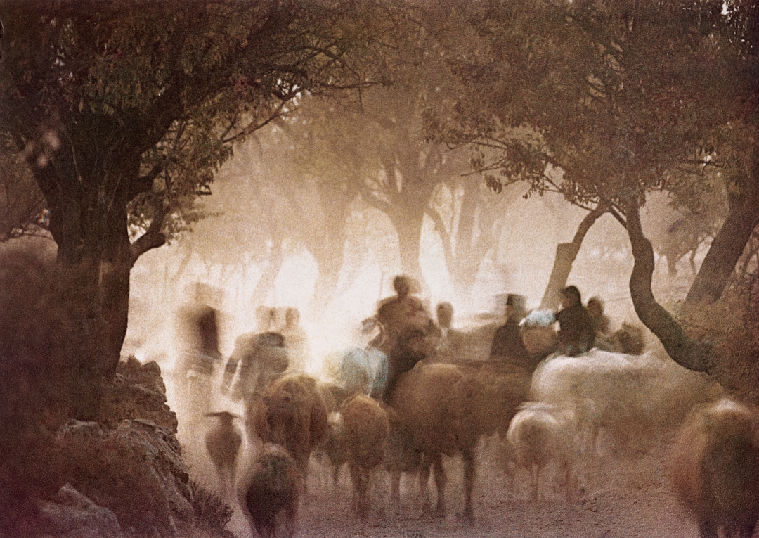 Irving Penn, Cretan Landscape , 1964. Gum bichromate print. © Condé Nast
