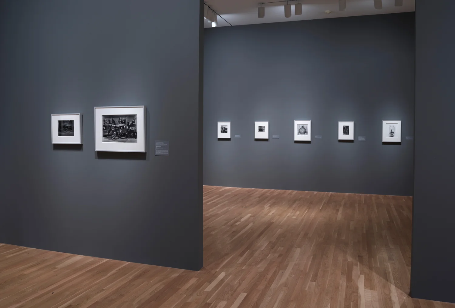 Irving_Penn_Installation_2016_008.jpg