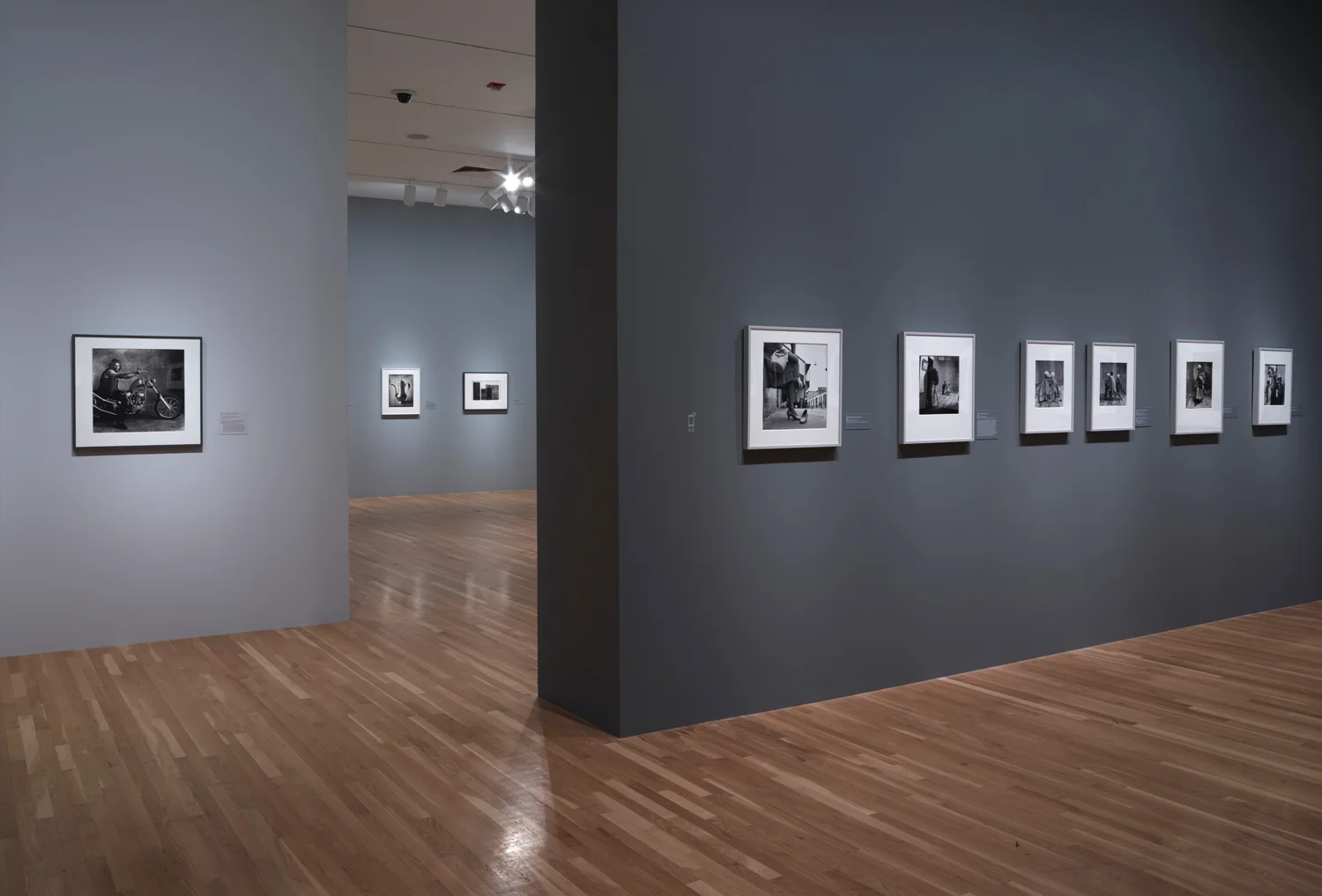 Irving_Penn_Installation_2016_017.jpg