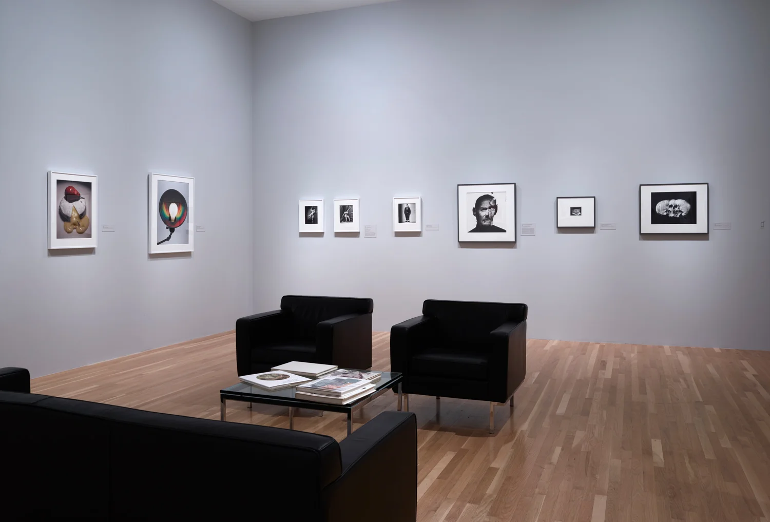 Courtesy of Dallas Museum of Art, Dallas TX.