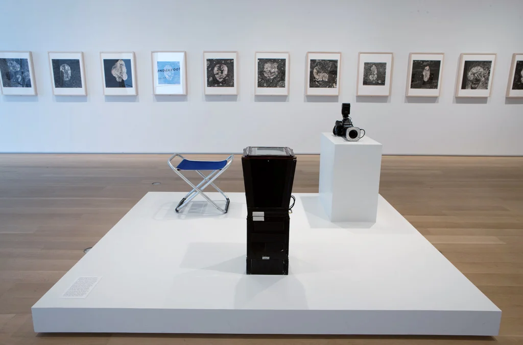 Courtesy of the Art Institute of Chicago