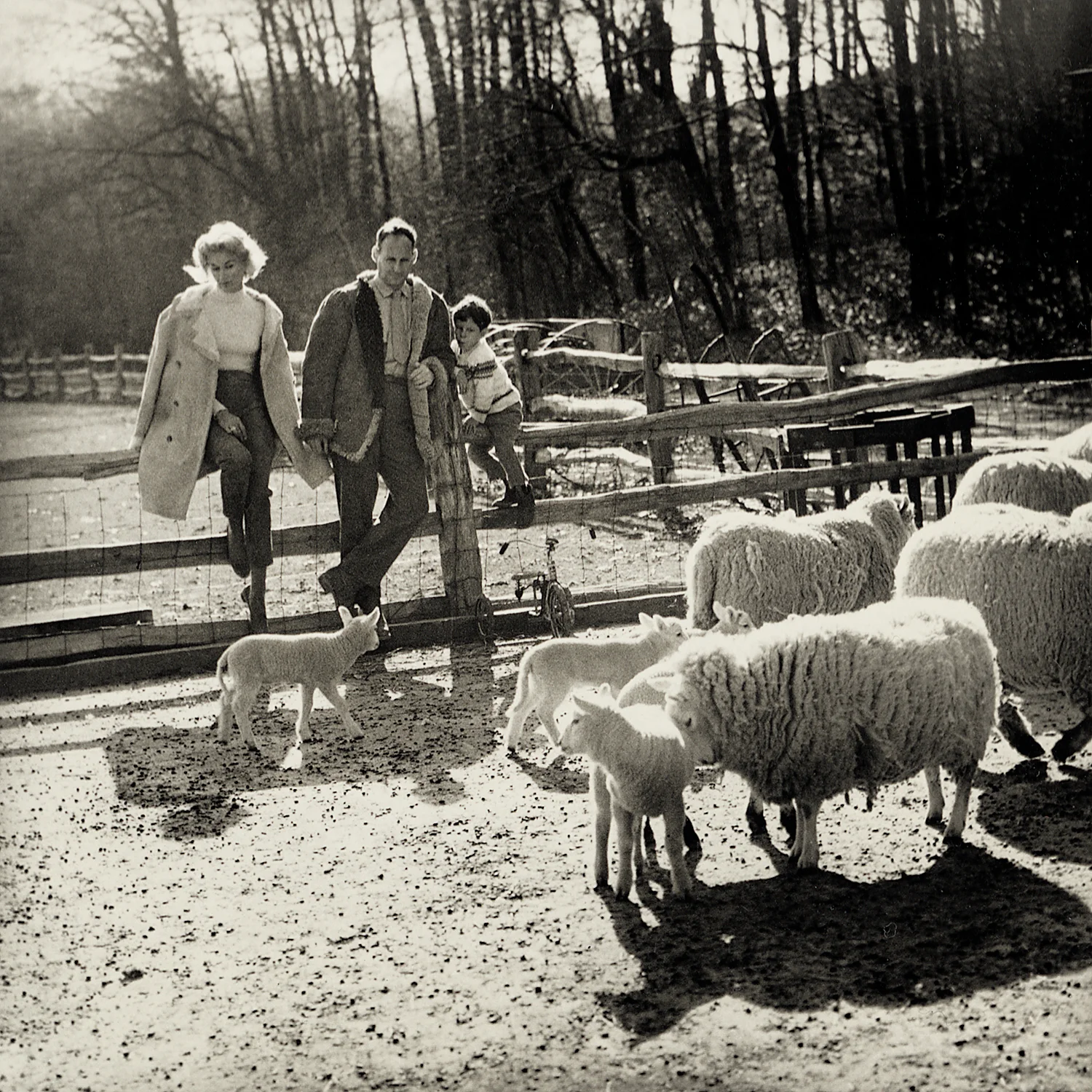 Kathryn Abbe, Penn Family in Huntington, NY , 1957. © Estate of Kathryn Abbe