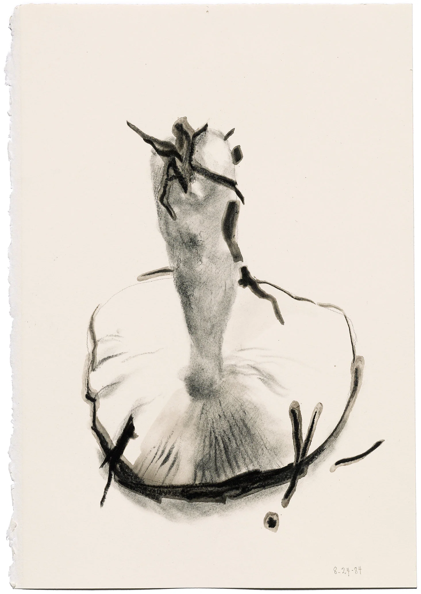 Irving Penn, Mushroom , 1984. Charcoal on paper. © The Irving Penn Foundation