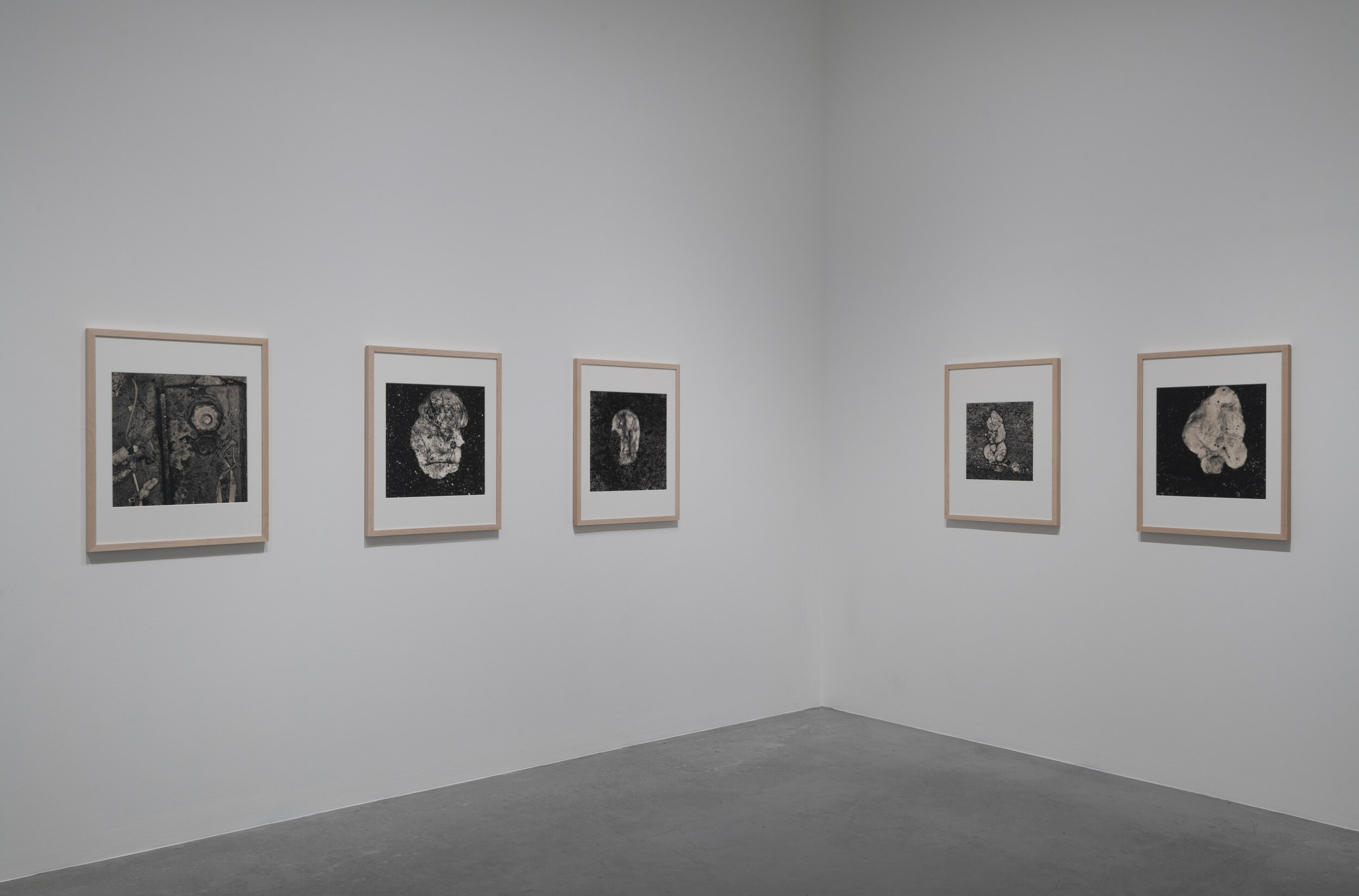 The Irving Penn Foundation