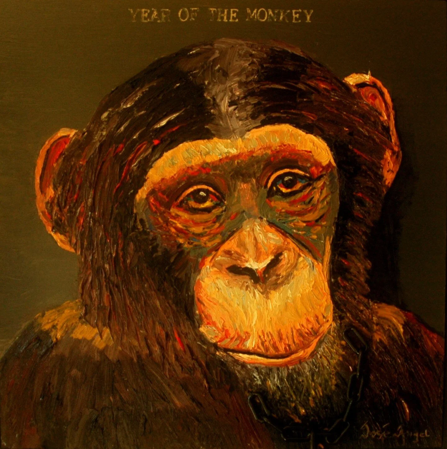 Monkey.jpg