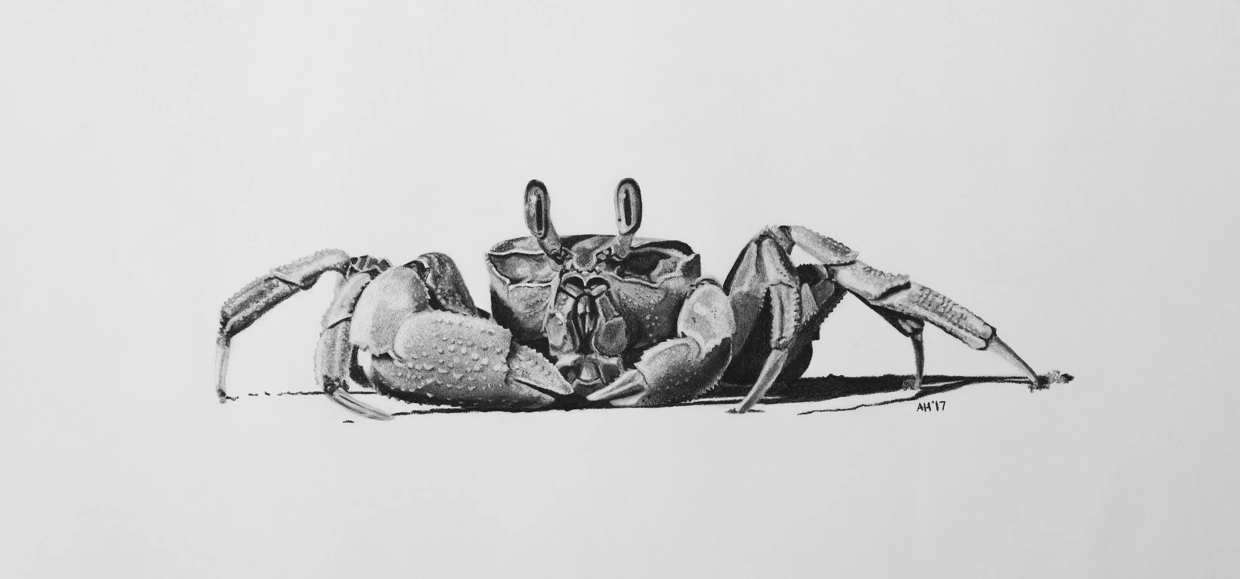 A3.jpg