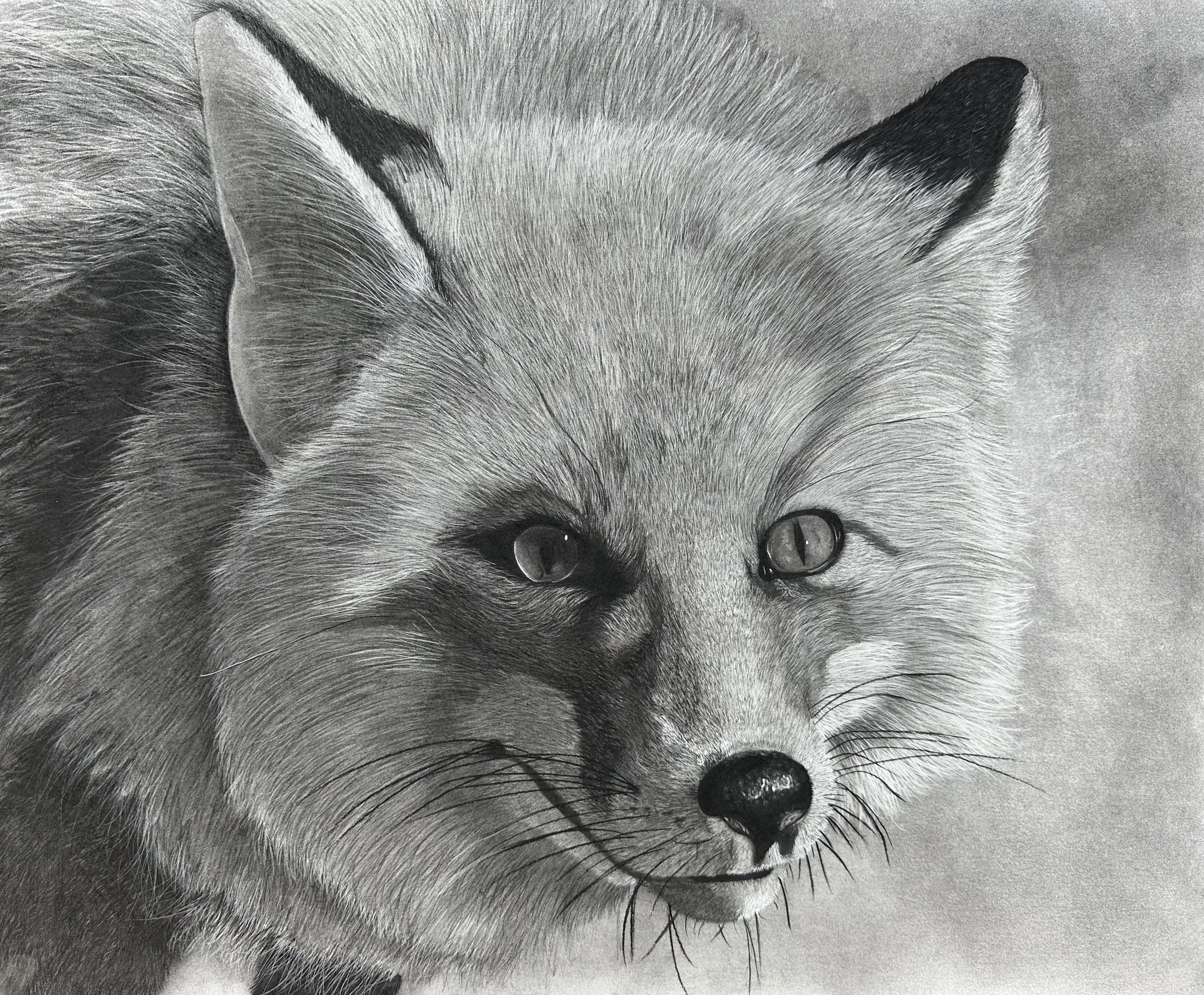 Deborah Bushland
