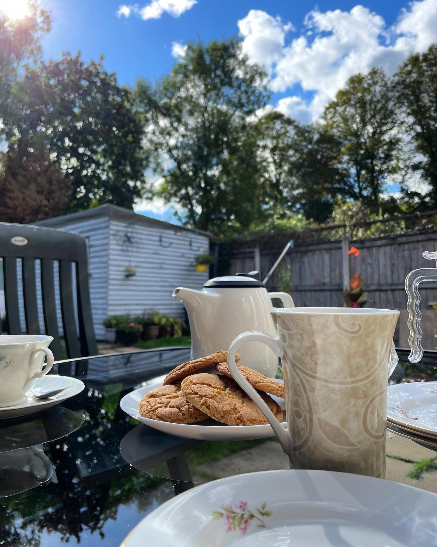 Taking a moment to sit and enjoy my youngest homemade cookies. Outside in the gorgeous sunshine 🌞 feeling blessed. 
My social media has been 🤫 quiet, I am hoping to rectify that - I am still here and have some new art works to share with you.

#fri