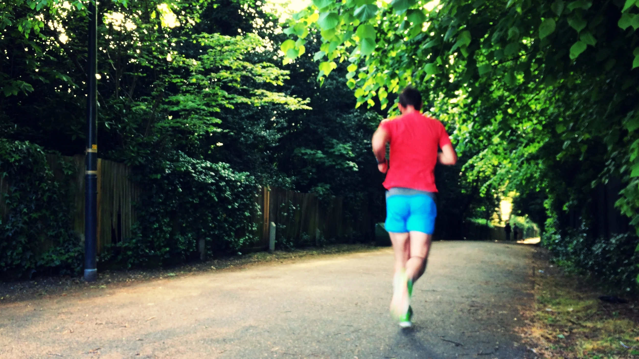 Run: Normal Run 