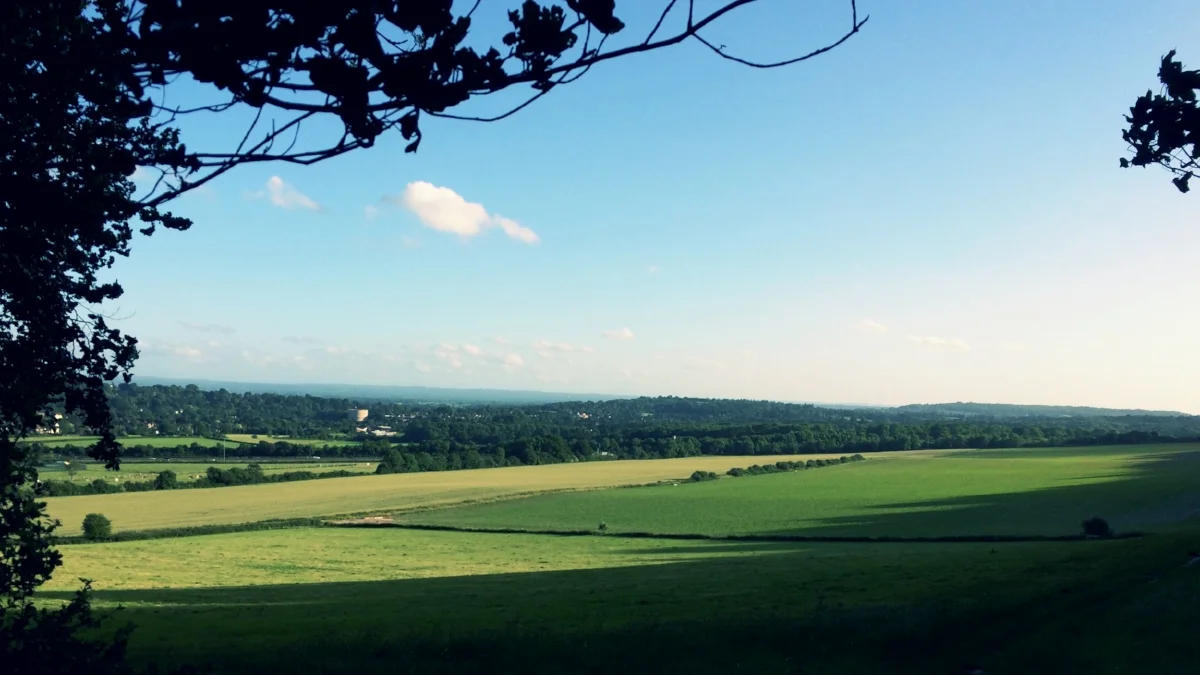 Run: Hill reps