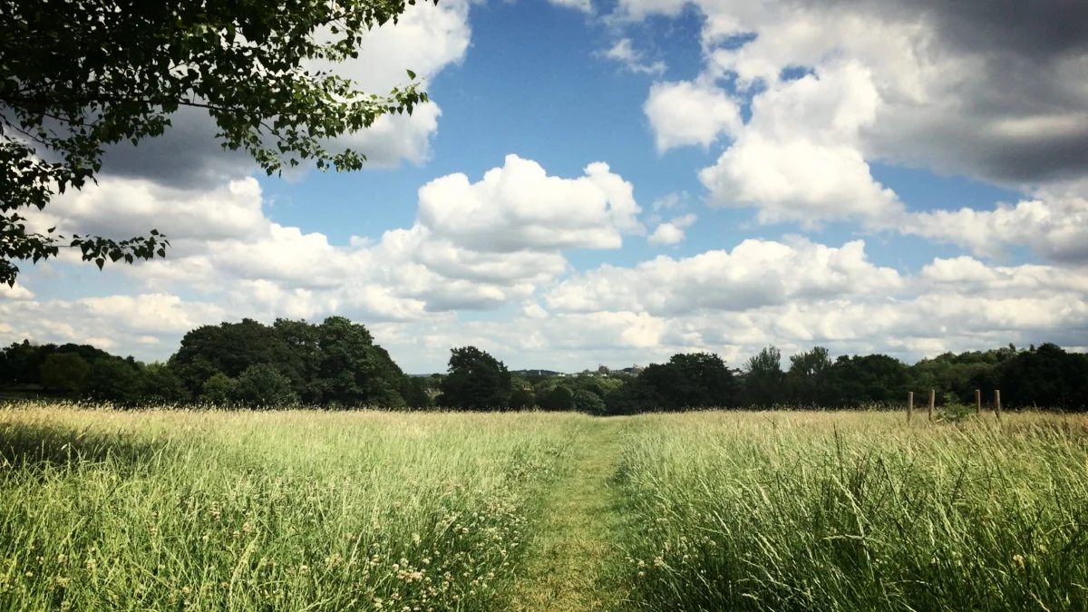 Run: Long run