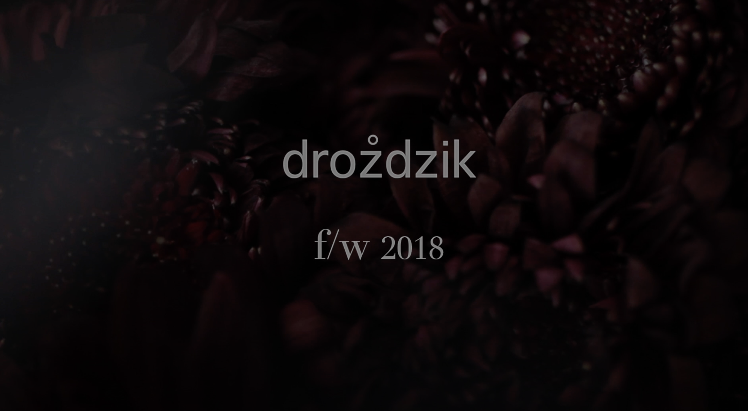 F/W 2018 film preview