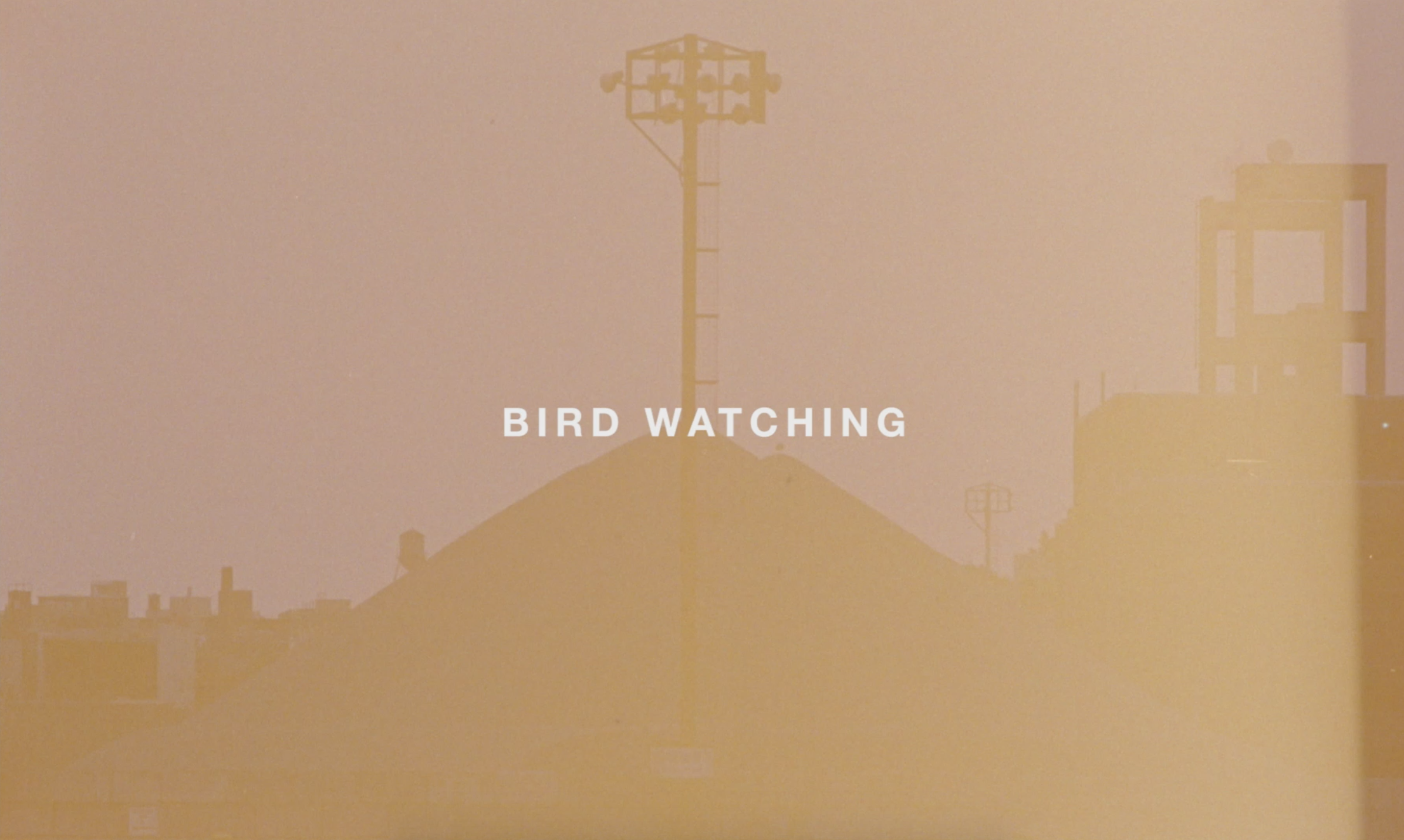 birdwatching.png