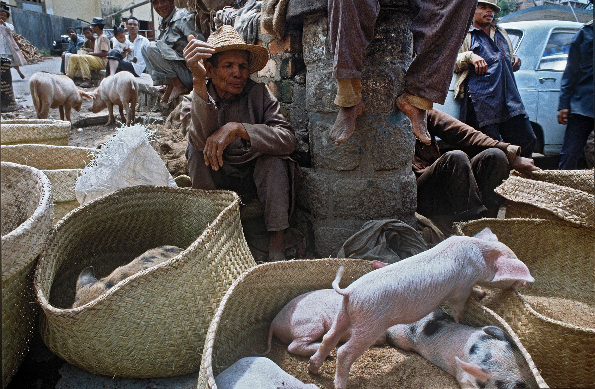 Madagascar_1993_Tana-cochons_marché.jpg